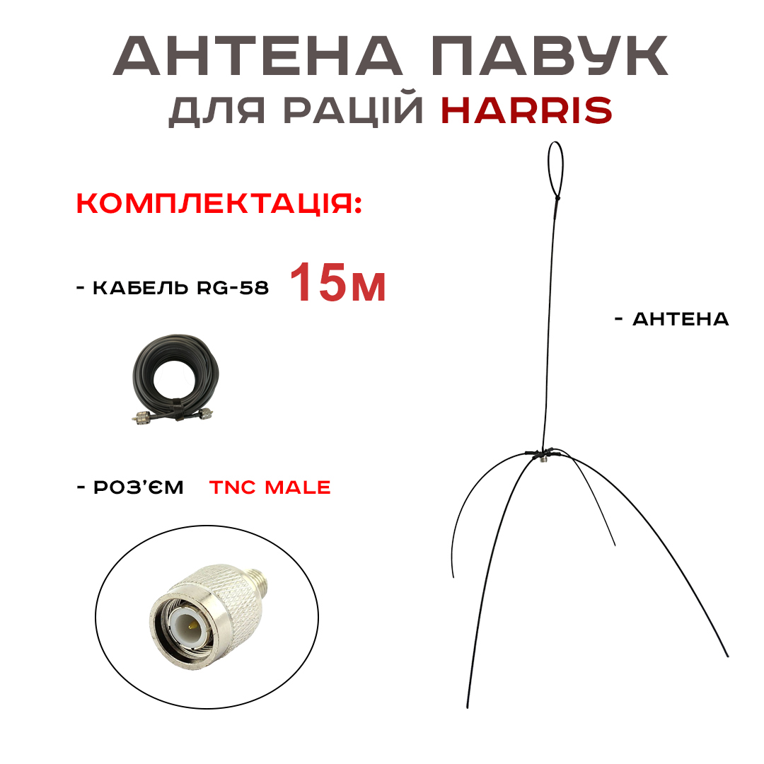 6423243854_vinosna-antena-pavuk.png